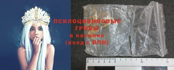 сатива Лабытнанги