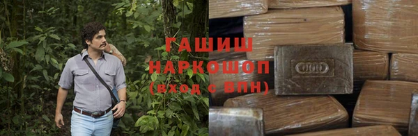 сатива Лабытнанги