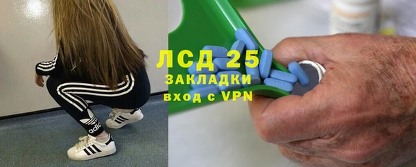сатива Лабытнанги