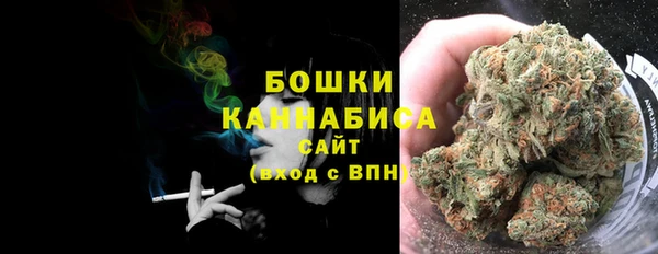 ГАЛЛЮЦИНОГЕННЫЕ ГРИБЫ Лихославль