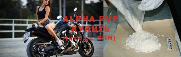 сатива Лабытнанги