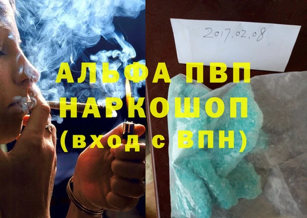 сатива Лабытнанги