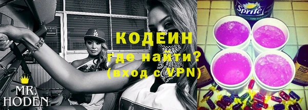 сатива Лабытнанги