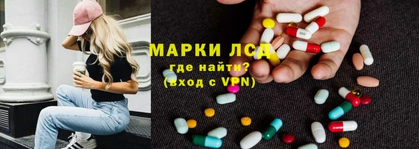 сатива Лабытнанги