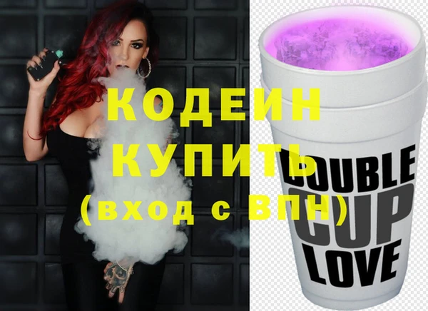 сатива Лабытнанги