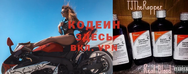 сатива Лабытнанги