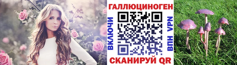 Псилоцибиновые грибы Magic Shrooms  Купить закладки  Новокубанск 
